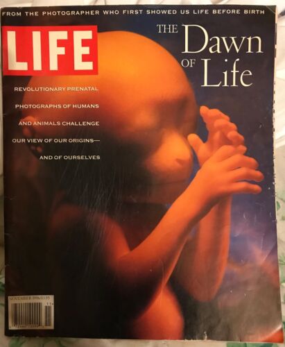 The Dawn of Life Prenatal photographs LIFE - Nov 1996 - 第 1/1 張圖片