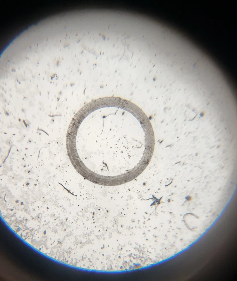 Thomas Inst. Mira telescópica para cuarto oscuro Scoponet 20 Power Grain Focusing Foto 4 de 4