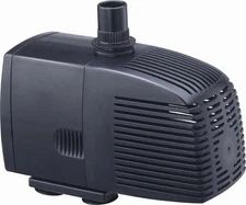 Anjon Little Frog Pumps