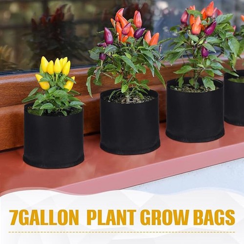 5 Packs Fabric Plant Pots Grow Bags 2 Gallon 3 Gallon - Picture 9 of 16