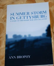 CIVIL WAR Novel  - "Summer Storm In Gettysburg" by Anne Brophy