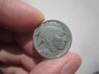 1916 US UNITED STATES BUFFALO NICKEL