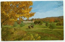 Greenbrier Resort Horseback Riding White Sulphur Springs West Virginia Postcard 