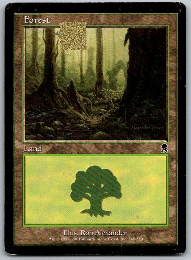 Forest (348) 348 Land Odyssey Magic: The Gathering Lightly Played