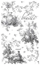 braille by R.D. Poetry (English) Paperback Book