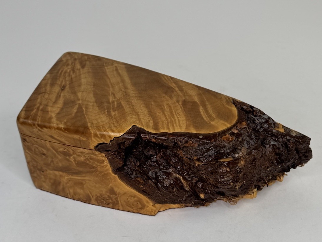 A carved burl wood jewelry box with a lid, lined in dark red velvet.