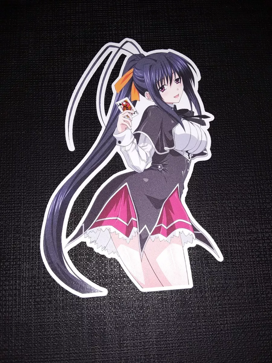 High School DxD Characters 6 Weatherproof Car Decal Sticker