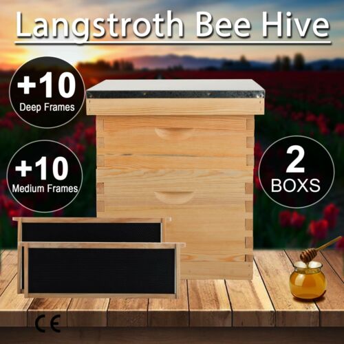 10-Frame Size Beekeeping Kit Bee Hive House Frame/Beehive 10 Deep &amp; 10 Medium