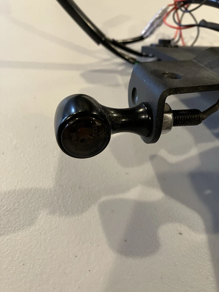 Triumph Scrambler 400x Speed 400 Evotech Performance cola ordenada + luces Foto 3 de 4