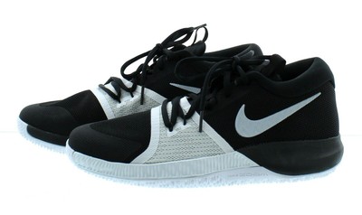 zoom assersion price