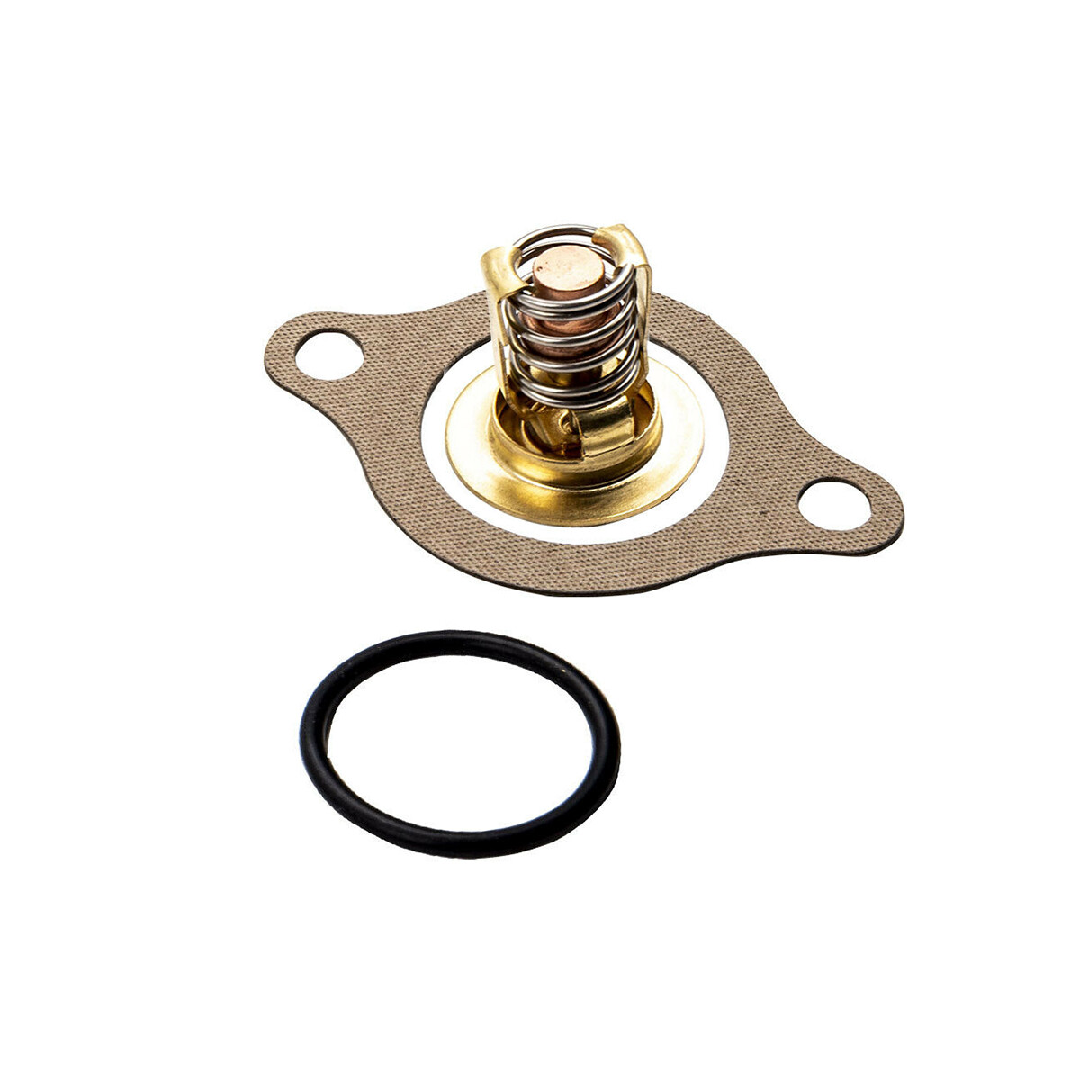 Thermostat Kit For 4.3 5.0 5.7 350 V6 V8 18-3677, 3856961, 383307 