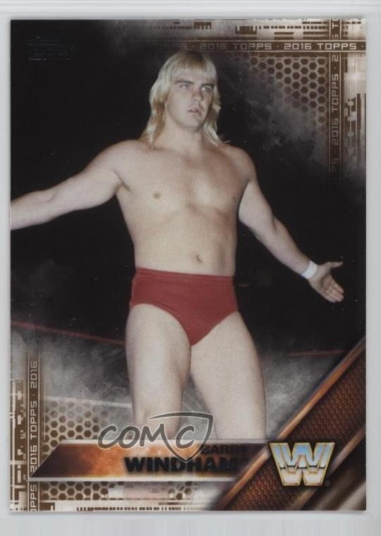 2016 Topps WWE Barry Windham #54 5w0