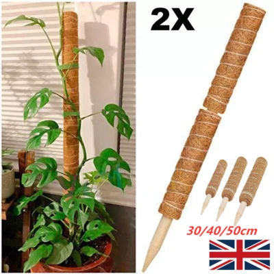 2X Moss Pole for Climbing Plants Coir Totem Plant Monstera Support Stick Pole UK