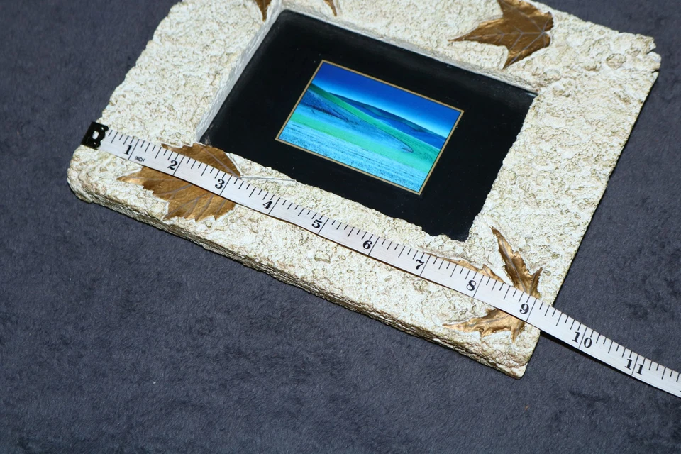 Print Fields Abstract Art beach dune Wall Frame Heavy Cast Maple Leaves WG - Image 3 of 4