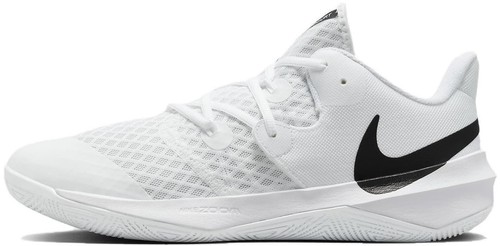 Nike Zoom Court NXT HC Hard Court Tennis Black/White DV3276-002