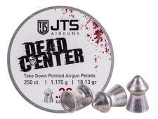JTS Airguns 250 Count DEAD CENTER Pointed 5.5mm .22 Caliber 18.13gr Pellets