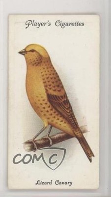 1933 Player's Aviary and Cage Birds Tobacco Lizard Canary #9 2k3