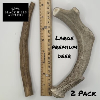 BLACK HILLS ANTLERS Large Premium Deer Antler Dog chew 2 Pack