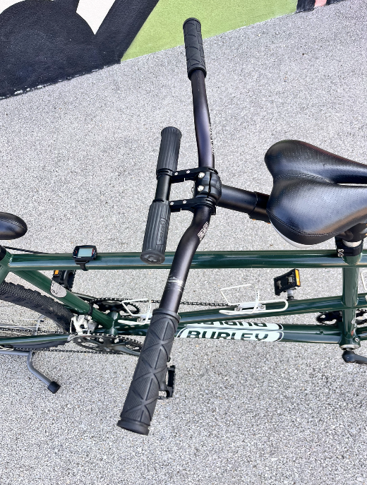 Burley Samba Tandem bike eBay