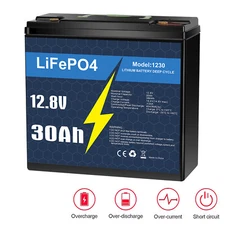 12V 30Ah LiFePO4 Rechargeable Lithium Battery BMS Deep cycles Fish Finder Boat