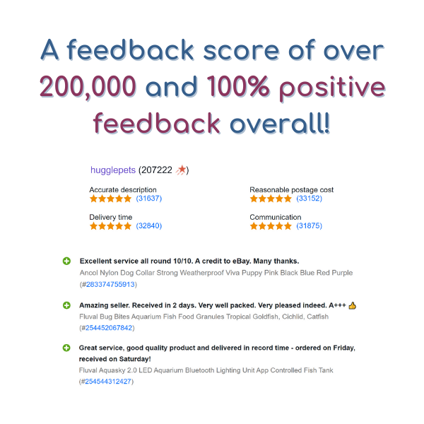 Happy Pet Egg Noggins Dog Toy Puppy Squeaky Funny Face Large Plush