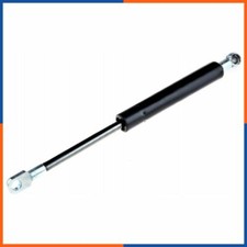 Verin de hayon / de capot BMW 330