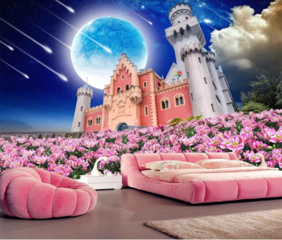 3D Castle Meteor G5512 Wallpaper Wall Murals Removable Self-adhesive Honey