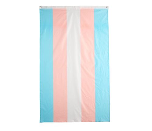 Pride Transgender Pride Flag 3x5 ft FABRIC with Grommets LGBTQIA Trans Pride