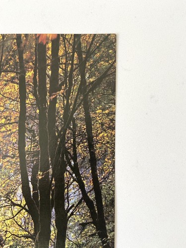 Vintage Argus Forest Waterfall Uplifting Inspirational Poster -21” X 14” -#2235 - Picture 3 of 11