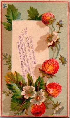 Victorian Trade Card Strawberries Flowers Embossed Chromolithograph 1880s