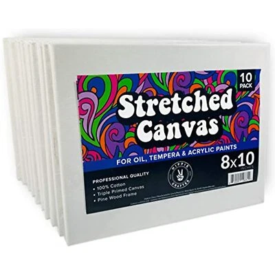 HIPPIE CRAFTER 10 Pack Stretched Canvas for Painting Blank Art Canvases for Paint