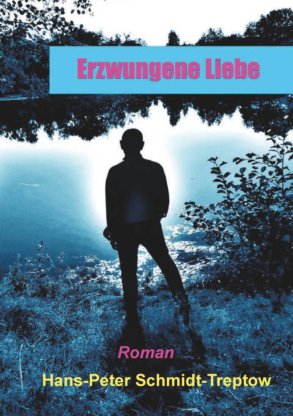 Erzwungene Liebe | Buch | 9783749761807