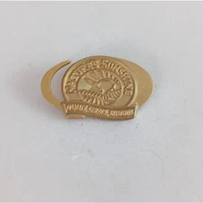 Vintage Nature's Sunshine Quality Service Integrity Gold Tone Lapel Hat Pin