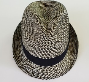 lids fedora