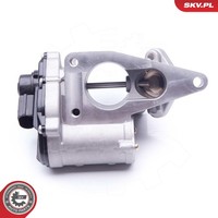 Esen SKV 14SKV168 Agr-Ventil FüR Renault Suzuki