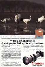 1981 Canon Camera: Siberian Crane Vintage Print Ad