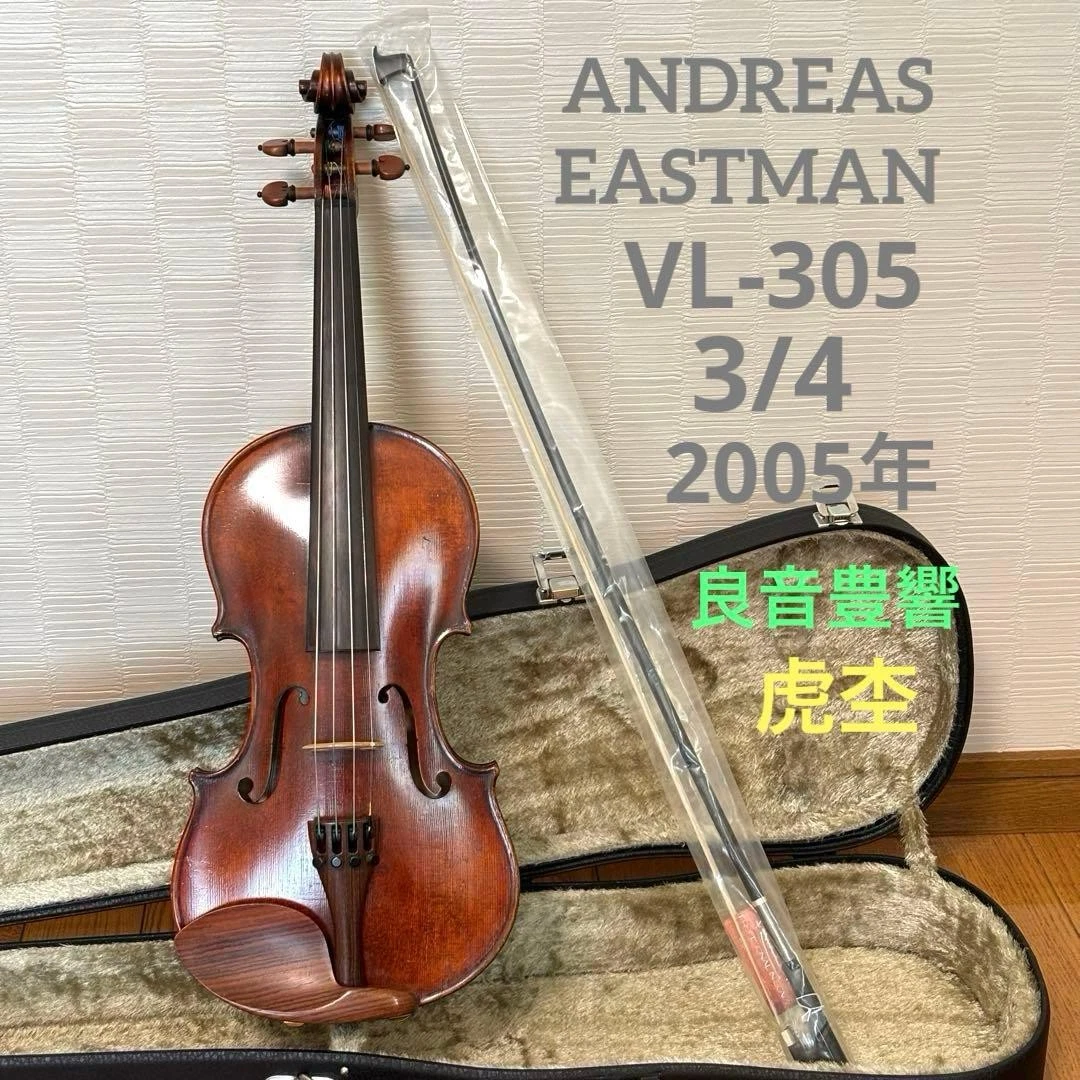 Andreas Eastman VL80　3/4 2010 Eastman Model 80 Violin | VL80 Violin Outfit | TheInstrumentPlace.com