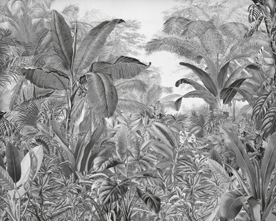 Vlies-Fototapete KOMAR ADVENTURE RORAIMA, 7 Teile, BxH 350 x 280 cm