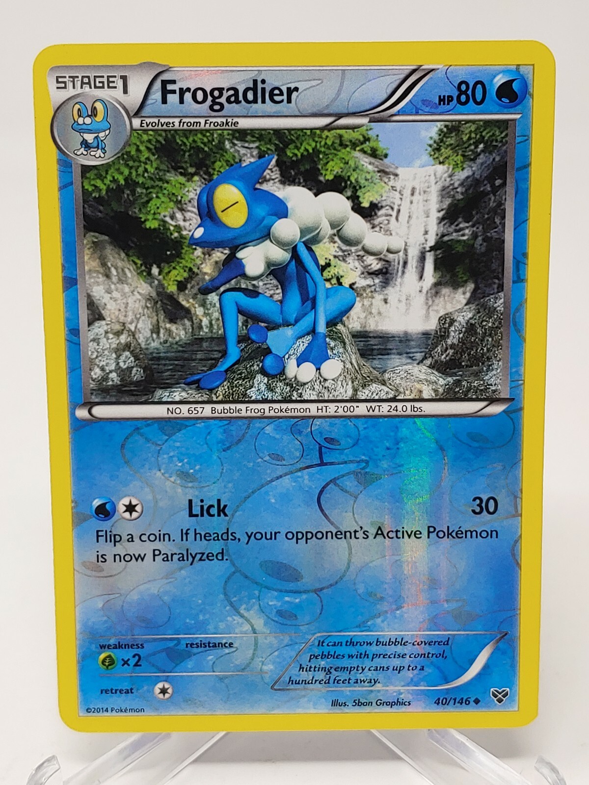 Pokemon Card Frogadier 40/146 Reverse Holo XY