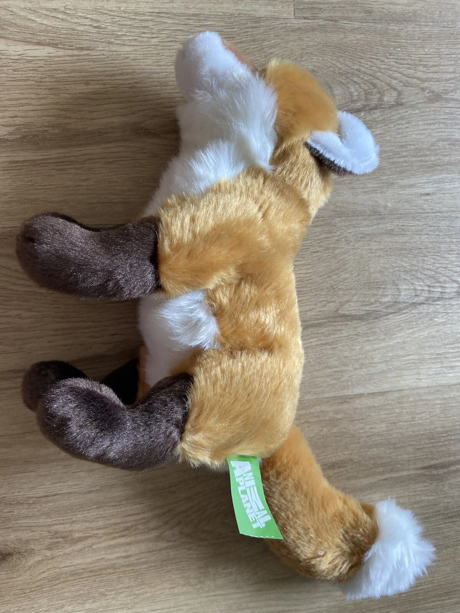 Animal planet sale soft toys