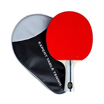 Palio Expert 3.0 Table Tennis Racket & Case - ITTF Approved, Beginner Ping Po...