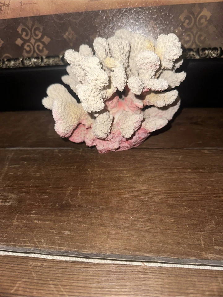 大号人造分支珊瑚桌面雕塑白色褪色至粉红色 — 第 3/4 张图片