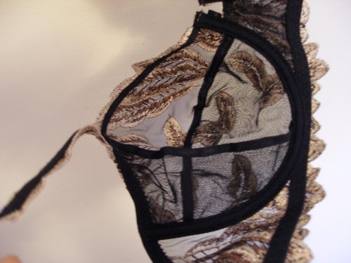 NEW Lise Charmel Full Cup Bra Black and Gold Leaves Embroidery Underwire 32C - Picture 6 of 8