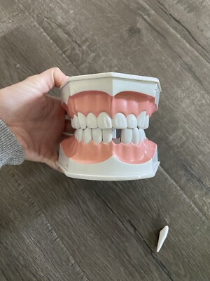 1 Pz Studio Odontoiatrico Modello Colgate 2 Volte Grande Con - Foto 13