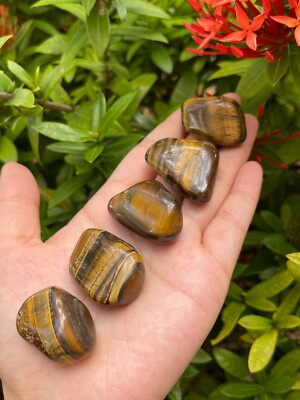 Grade A++ Gold Tiger Eye Tumbled Stones, 1''-1.5'' Tumbled Tiger Eye,Pick How Many