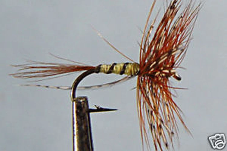PECHETRUITE 1 x Mouche de peche Sèche Panama H12/14/16 truite dry fly fyshing mosca