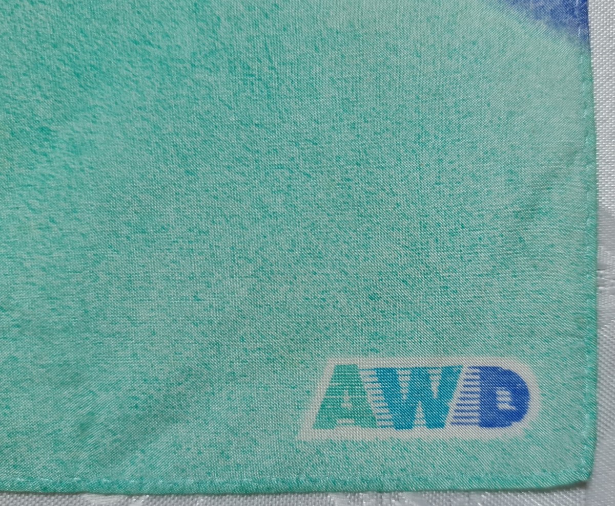 HANDKERCHIEFS VINTAGE AUTHENTIC SWITZERLAND AWD HOLDING AG SILK 11" SQUARE View 2