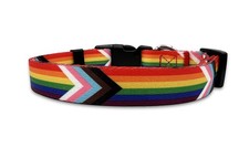 Medium Progress Pride Flag LGBTQ Dog Collar for Gay Lesbian Bisexual Trans