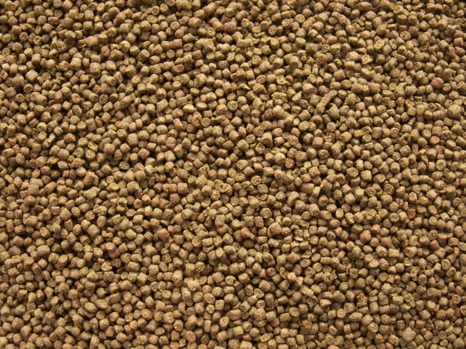 KORAL 1 Liter Marin Pellet Granulat Fischfutter Meerwasserfische Salzwasserfischfutter