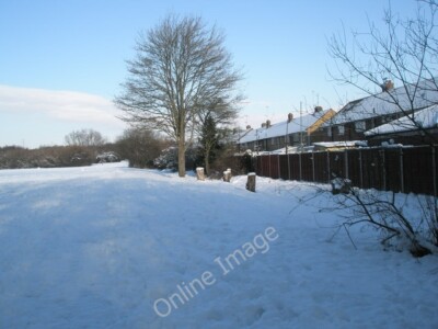 Photo 6x4 A snowy Bushy Lease (4) Havant Showing the boundary with Ramsda c2010